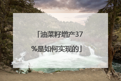 油菜籽增产37%是如何实现的