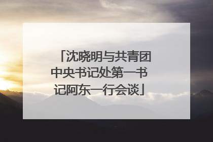 沈晓明与共青团中央书记处第一书记阿东一行会谈
