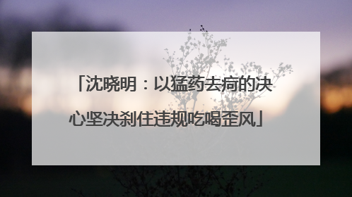 沈晓明：以猛药去疴的决心坚决刹住违规吃喝歪风