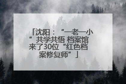 沈阳：“一老一小”共学共悟 档案馆来了30位“红色档案修复师”