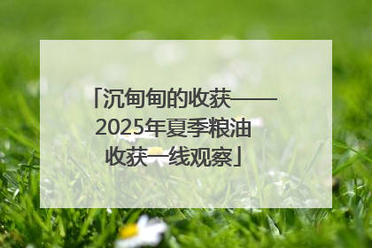沉甸甸的收获——2025年夏季粮油收获一线观察