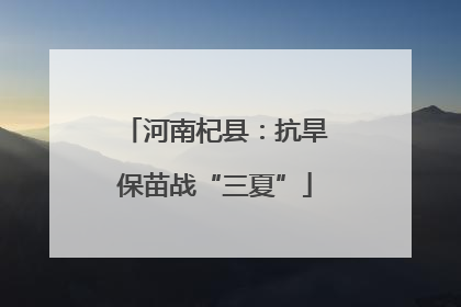 河南杞县：抗旱保苗战“三夏”