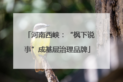 河南西峡：“枫下说事”成基层治理品牌