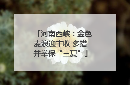 河南西峡：金色麦浪迎丰收 多措并举保“三夏”