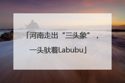 河南走出“三头象”，一头驮着Labubu