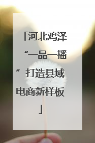 河北鸡泽“一品一播”打造县域电商新样板