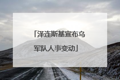 泽连斯基宣布乌军队人事变动