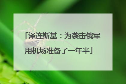 泽连斯基：为袭击俄军用机场准备了一年半