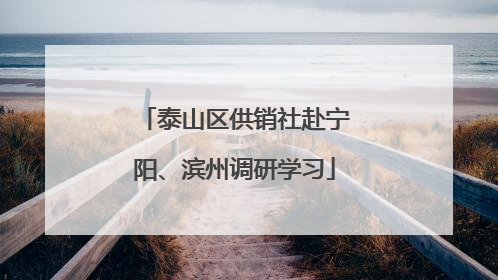 泰山区供销社赴宁阳、滨州调研学习