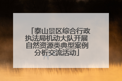 泰山景区综合行政执法局机动大队开展自然资源类典型案例分析交流活动