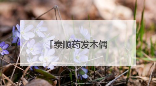 泰顺药发木偶戏借《藏海传》再入大众视野