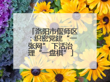 洛阳市偃师区：织密党建“一张网” 下活治理“一盘棋”