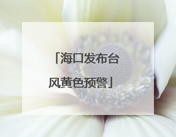 海口发布台风黄色预警