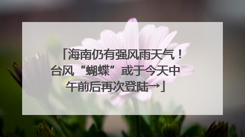 海南仍有强风雨天气！台风“蝴蝶”或于今天中午前后再次登陆→