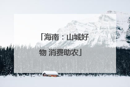 海南：山城好物 消费助农