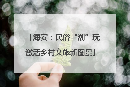 海安：民俗“潮”玩激活乡村文旅新图景