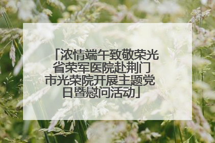 浓情端午致敬荣光 省荣军医院赴荆门市光荣院开展主题党日暨慰问活动