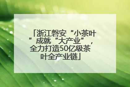 浙江磐安“小茶叶”成就“大产业”，全力打造50亿级茶叶全产业链