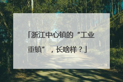 浙江中心镇的“工业重镇”，长啥样？