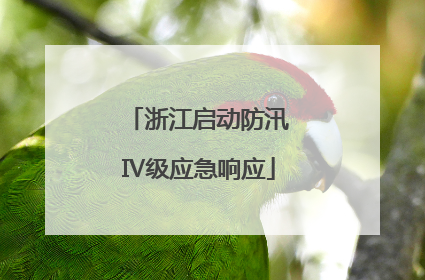 浙江启动防汛Ⅳ级应急响应