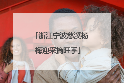 浙江宁波慈溪杨梅迎采摘旺季