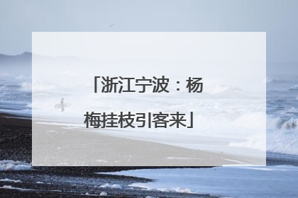 浙江宁波：杨梅挂枝引客来