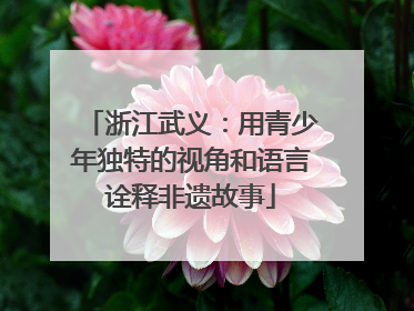 浙江武义：用青少年独特的视角和语言诠释非遗故事