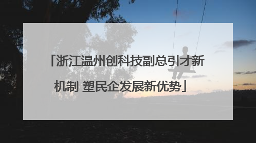 浙江温州创科技副总引才新机制 塑民企发展新优势