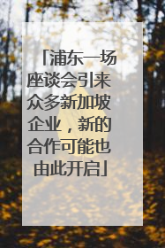 浦东一场座谈会引来众多新加坡企业，新的合作可能也由此开启