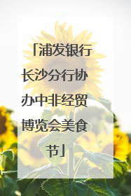 浦发银行长沙分行协办中非经贸博览会美食节