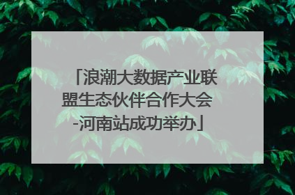 浪潮大数据产业联盟生态伙伴合作大会-河南站成功举办