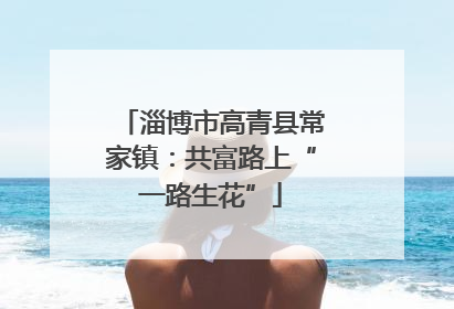 淄博市高青县常家镇：共富路上“一路生花”