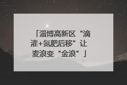 淄博高新区“滴灌+氮肥后移”让麦浪变“金浪”