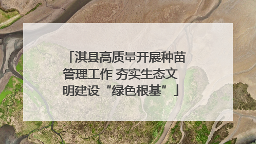 淇县高质量开展种苗管理工作 夯实生态文明建设“绿色根基”