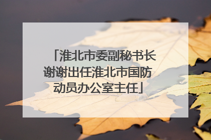 淮北市委副秘书长谢谢出任淮北市国防动员办公室主任