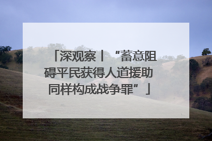 深观察丨“蓄意阻碍平民获得人道援助同样构成战争罪”