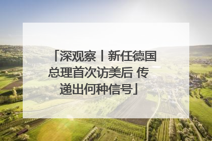 深观察丨新任德国总理首次访美后 传递出何种信号