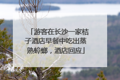 游客在长沙一家桔子酒店早餐中吃出蒸熟蟑螂，酒店回应