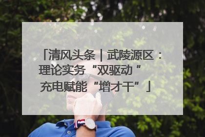 清风头条｜武陵源区：理论实务“双驱动 ” 充电赋能“增才干”