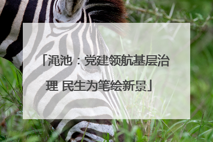 渑池：党建领航基层治理 民生为笔绘新景