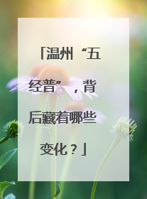 温州“五经普”，背后藏着哪些变化？