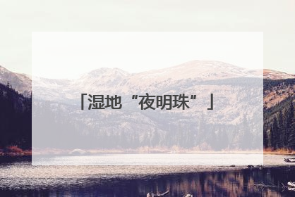 湿地“夜明珠”