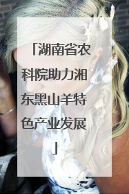 湖南省农科院助力湘东黑山羊特色产业发展