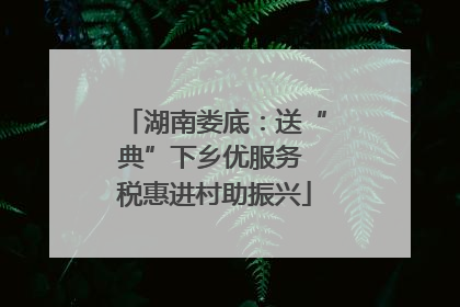 湖南娄底：送“典”下乡优服务 税惠进村助振兴
