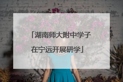 湖南师大附中学子在宁远开展研学