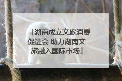 湖南成立文旅消费促进会 助力湖南文旅融入国际市场