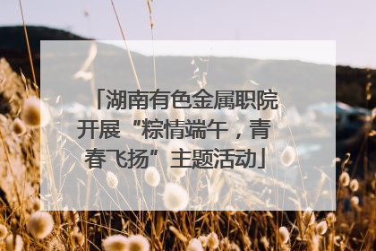 湖南有色金属职院开展“粽情端午，青春飞扬”主题活动