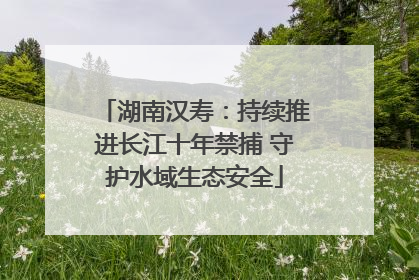 湖南汉寿：持续推进长江十年禁捕 守护水域生态安全