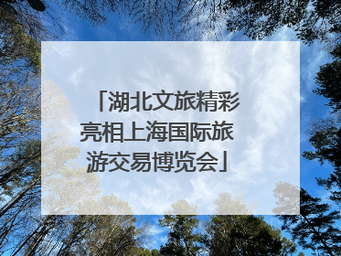 湖北文旅精彩亮相上海国际旅游交易博览会
