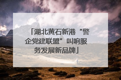 湖北黄石新港“警企党建联盟”叫响服务发展新品牌
